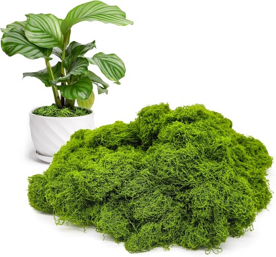 Fake Green Moss for Potted Plants Indoor, 5.3oz Artificial Moss for Crafts, Faux Moss Decor for DIY Decorative, Model Making, Walls, Glass Containers, Home